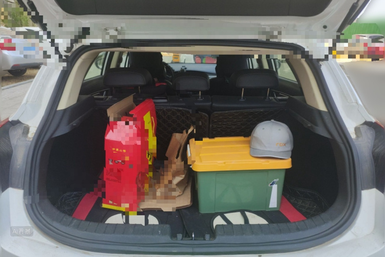 GEELY Emgrand GS 2019 imagen de coche #21