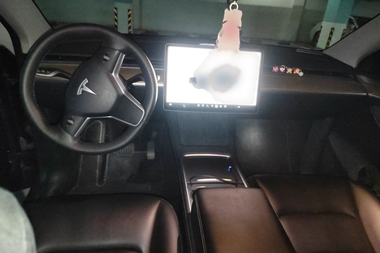 Tesla Model Y 2022 car image #12