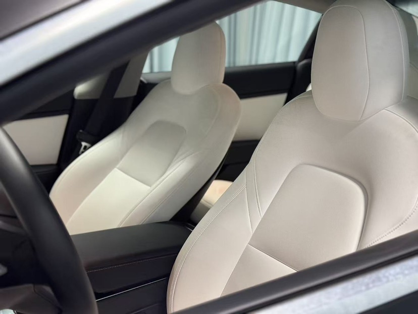 Tesla Model 3 2020 car image #4