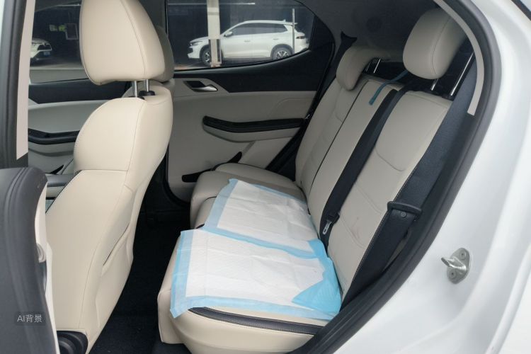 BYD Yuan Pro 2022 immagine di auto #19