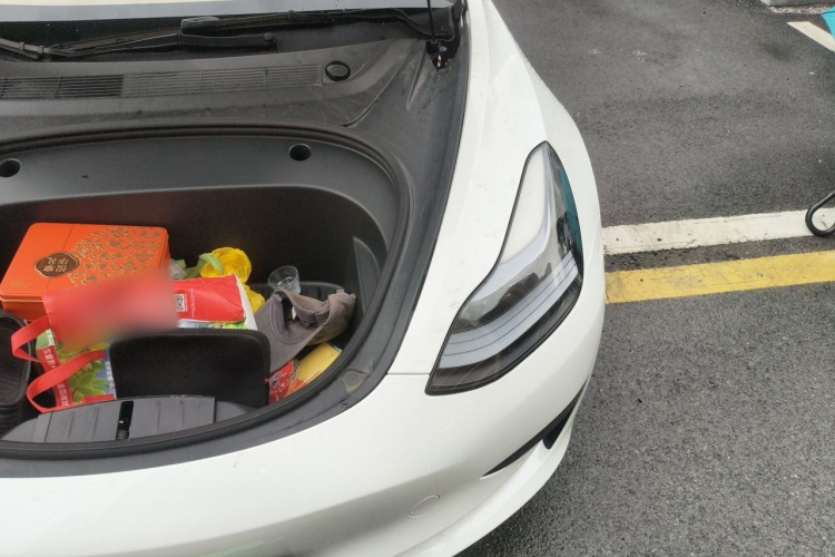 Tesla Model 3 2023 #25 Tesla Model 3 2023 car image #25