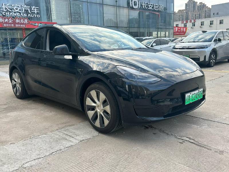 Tesla Model Y 2023 #3 Tesla Model Y 2023 car image #3