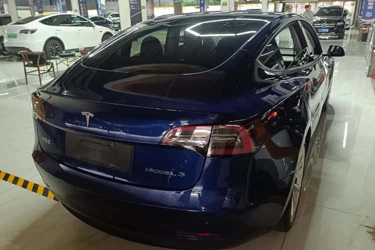 Tesla Model 3 2021 car image #7