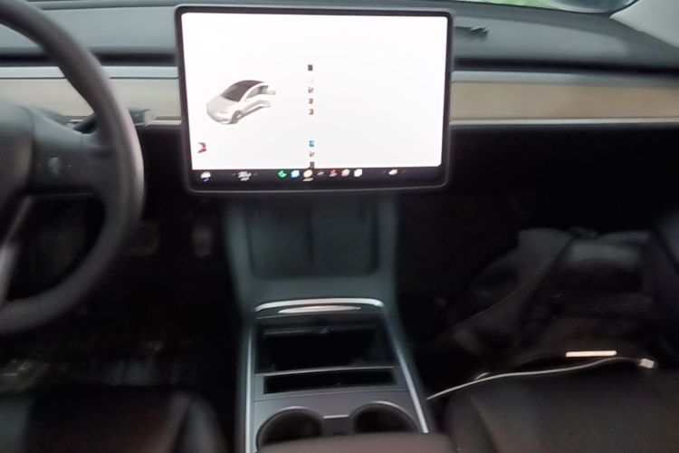 Tesla Model 3 2021 car image #13