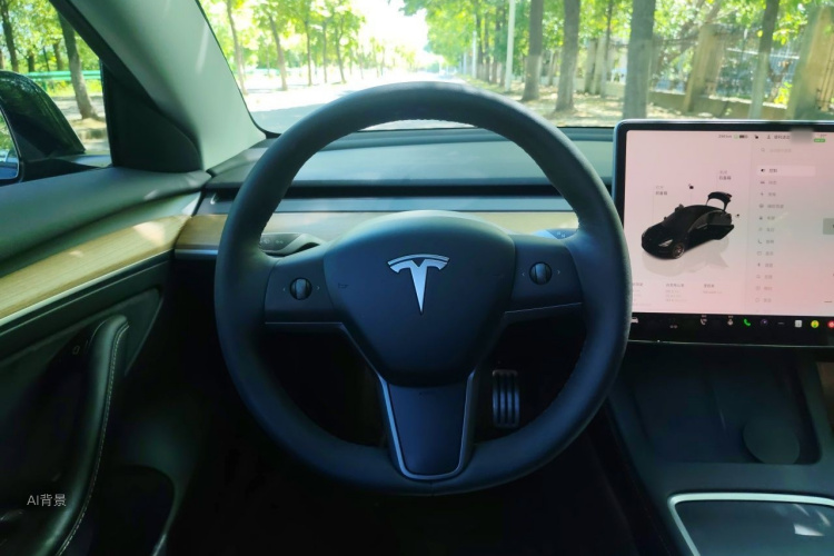 Tesla Model 3 2022 #12 Tesla Model 3 2022 car image #12