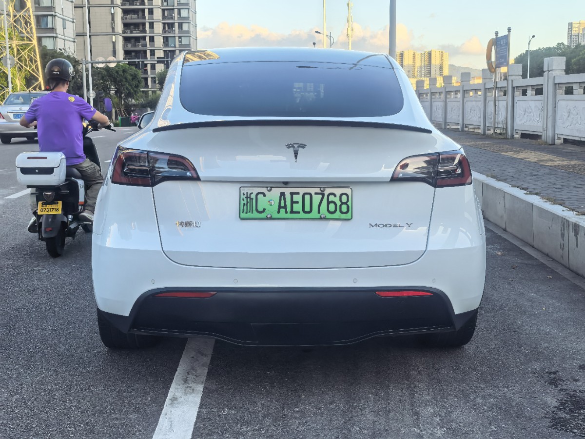 Tesla Model Y 2023 #6 Tesla Model Y 2023 car image #6