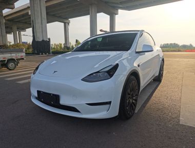 Tesla Model Y 2022 Tesla Model Y 2022 car image