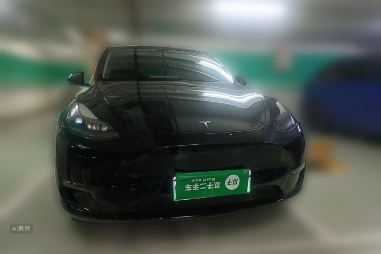 Tesla Model Y 2021 car image #3