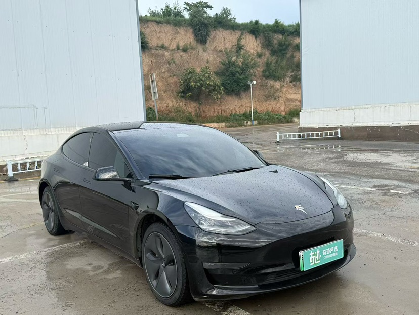 Tesla Model 3 2020 car image #3