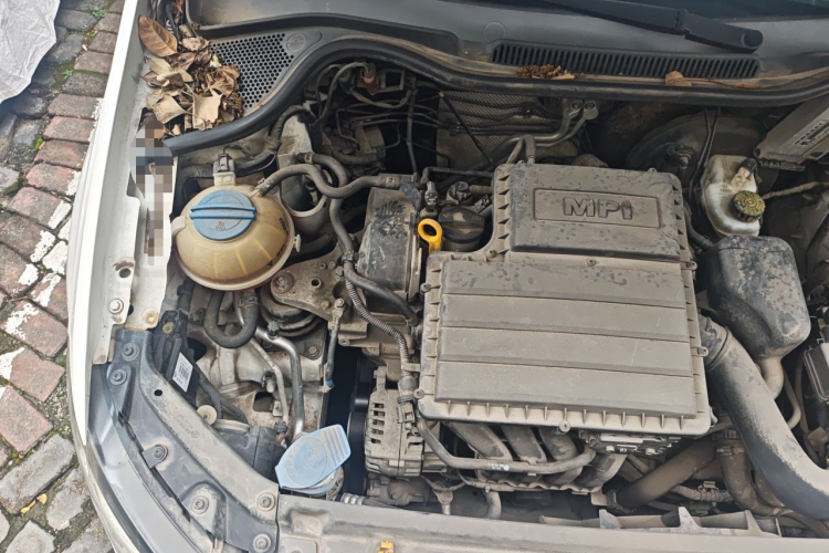 Volkswagen Polo 2017 car image #22