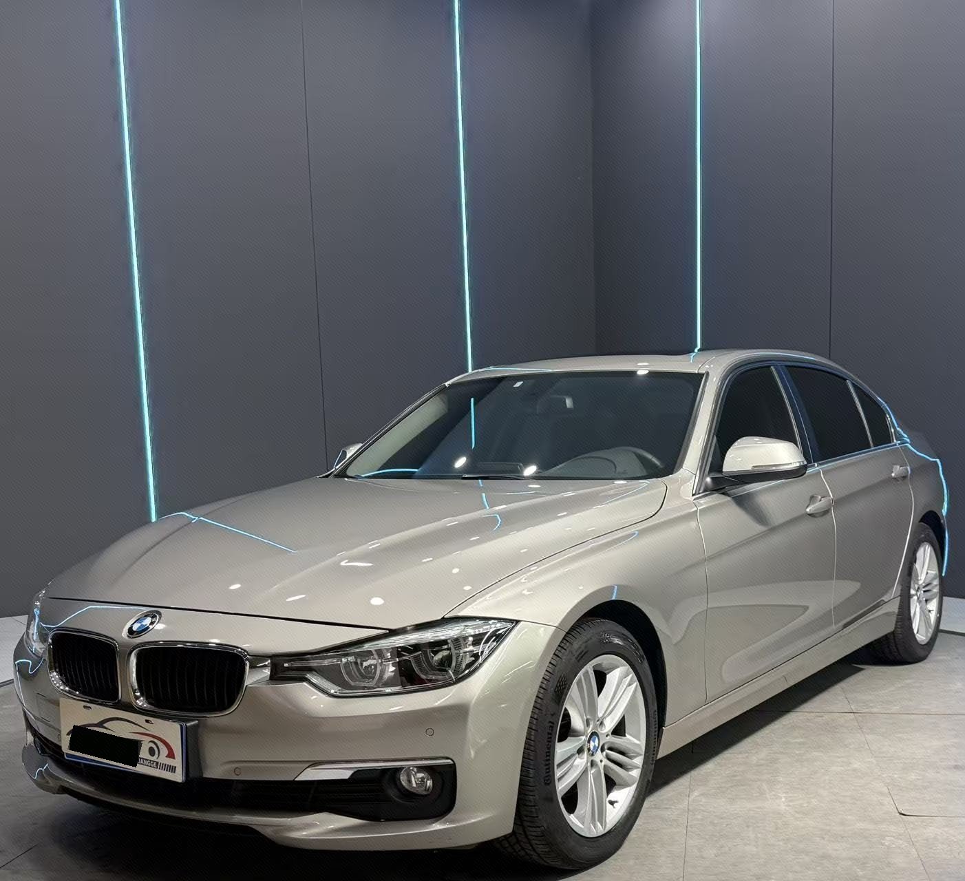 BMW 3 Series 2016 BMW 3 Series 2016 imagen de coche
