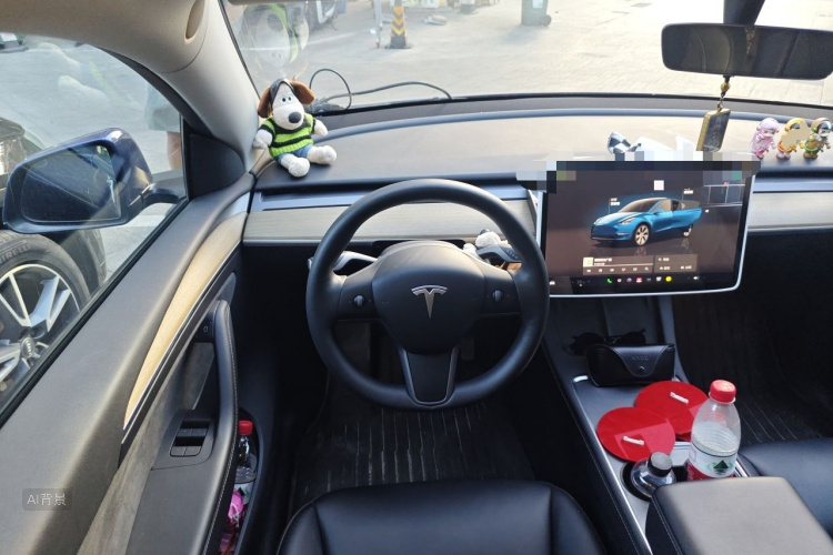 Tesla Model Y 2022 car image #12