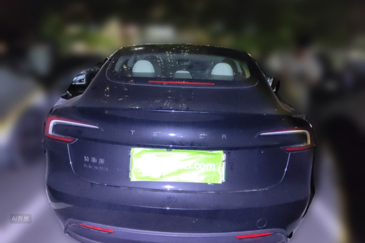 Tesla Model 3 2025 car image #6