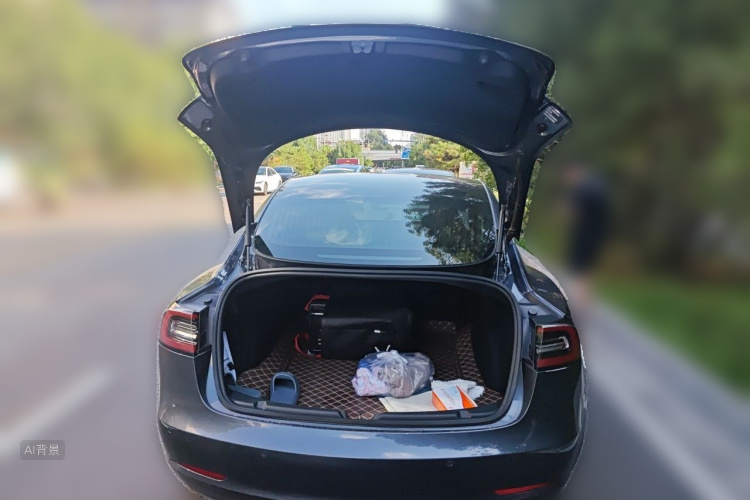 Tesla Model 3 2020 #21 Tesla Model 3 2020 car image #21