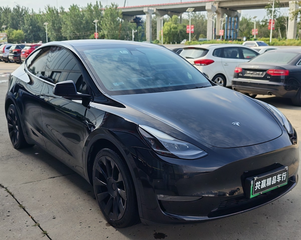 Tesla Model Y 2021 #2 Tesla Model Y 2021 car image #2