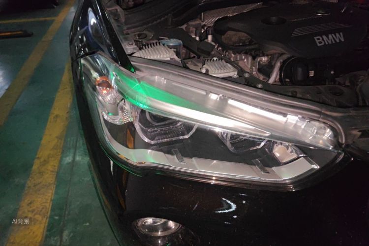 BMW X1 2016 car image #8