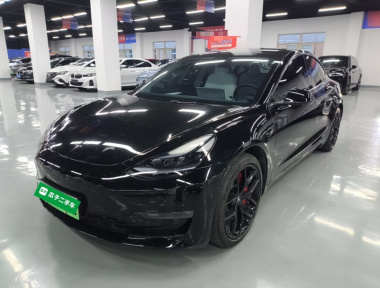 Tesla Model 3 2021 Tesla Model 3 2021 car image