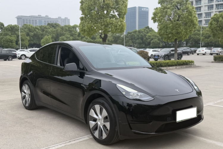 Tesla Model Y 2023 car image #6