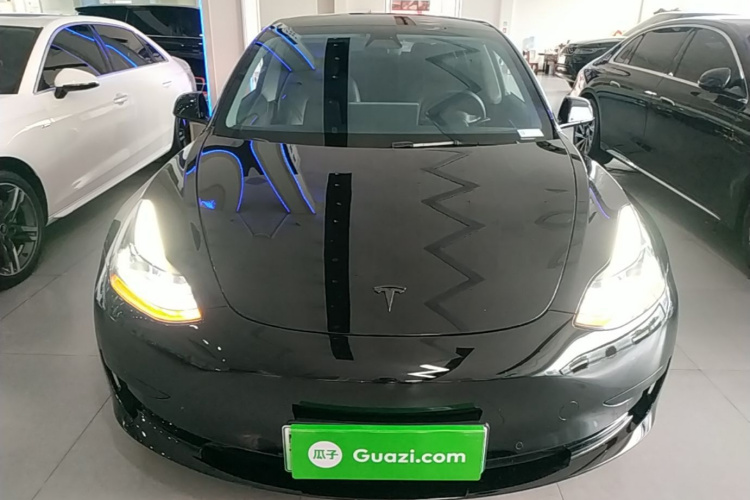 Tesla Model 3 2021 car image #3