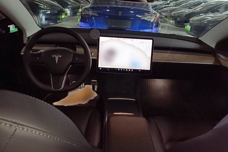 Tesla Model 3 2022 car image #11