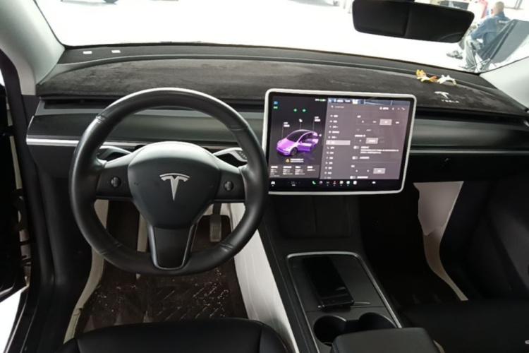 Tesla Model Y 2024 car image #10