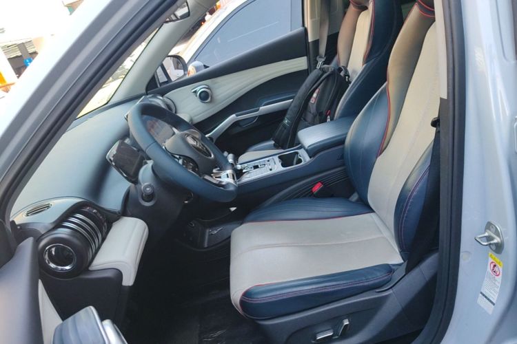 BYD Yuan Plus 2023 car image #19