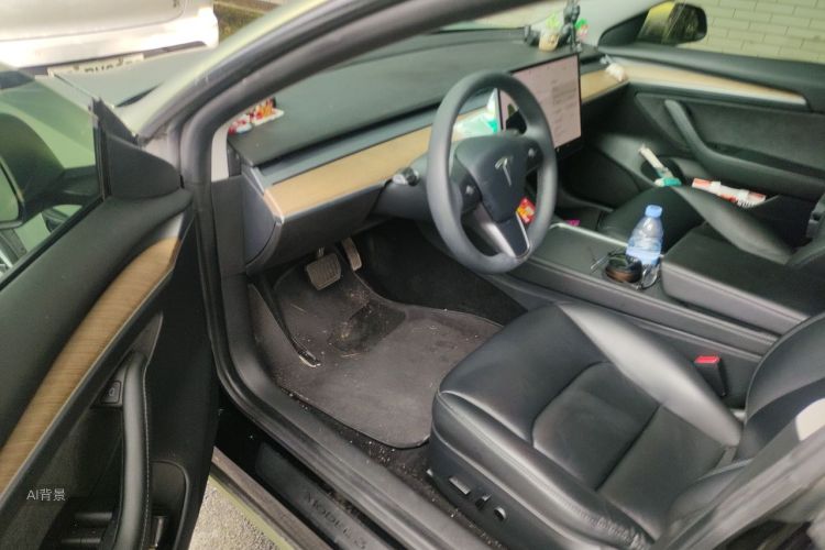 Tesla Model 3 2021 car image #18