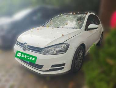 Volkswagen Golf 2017 Volkswagen Golf 2017 car image