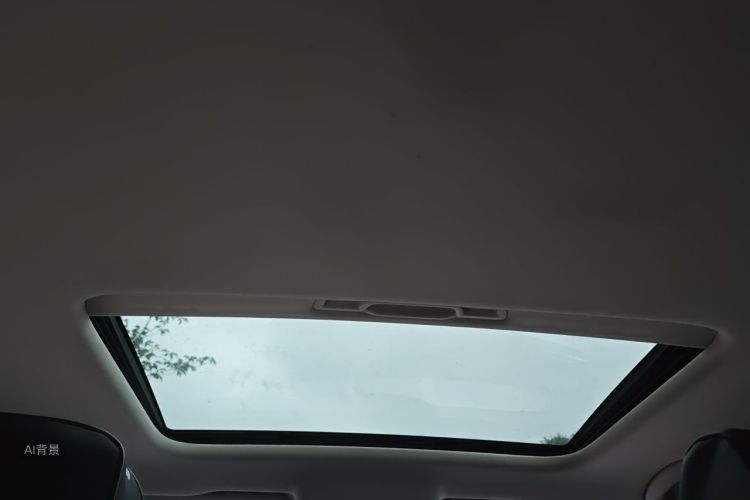 Volkswagen Lavida 2019 car image #20