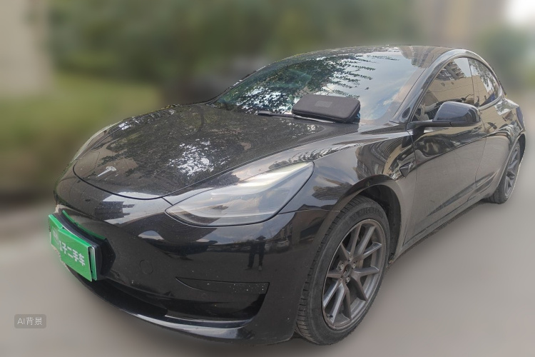 Tesla Model 3 2021 immagine di auto #2