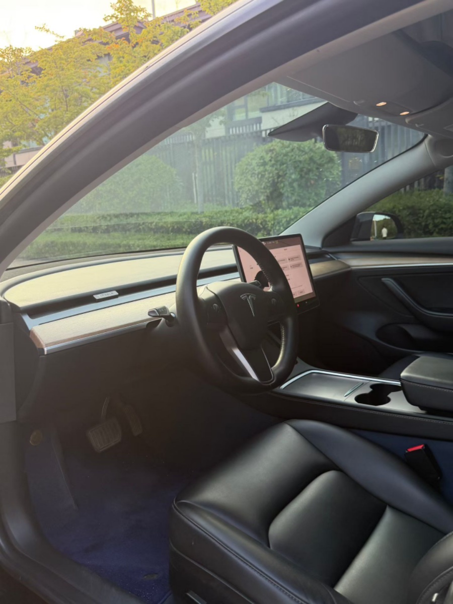 Tesla Model 3 2022 car image #6