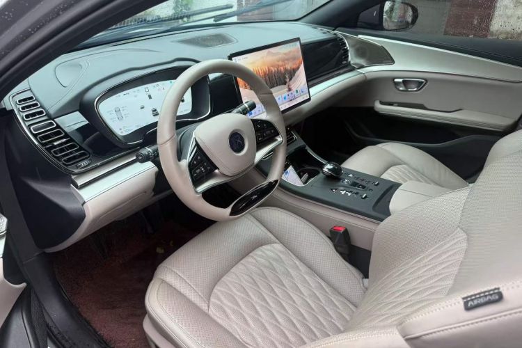 BYD Han 2024 car image #20