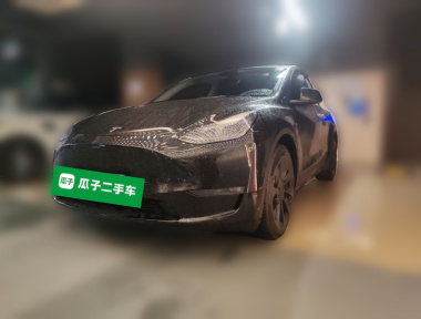 Tesla Model Y 2021 Tesla Model Y 2021 car image