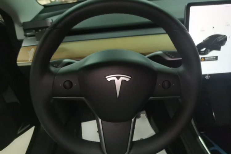 Tesla Model 3 2020 car image #11