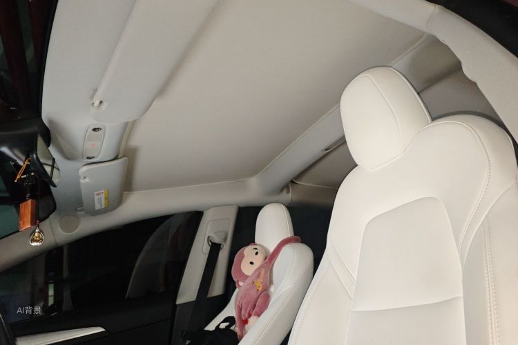 Tesla Model 3 2022 #20 Tesla Model 3 2022 car image #20