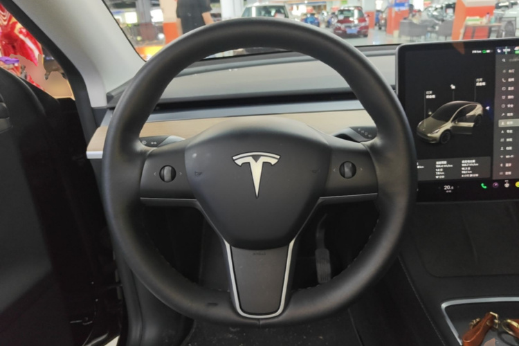 Tesla Model Y 2021 car image #11