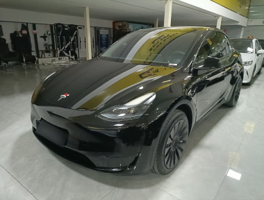 Tesla Model Y 2023 car image 