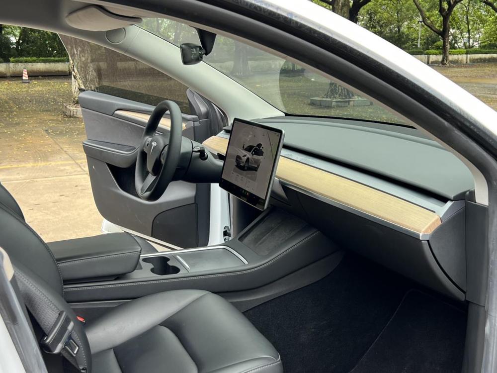 Tesla Model Y 2023 car image #14