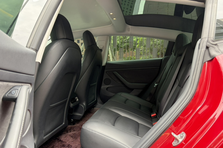 Tesla Model 3 2021 car image #15