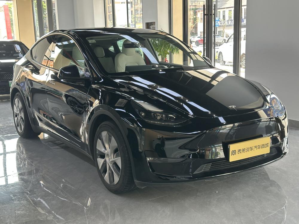 Tesla Model Y 2021 #3 Tesla Model Y 2021 car image #3