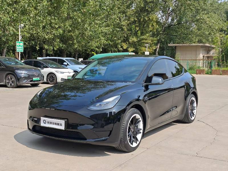 Tesla Model Y 2023 Tesla Model Y 2023 car image