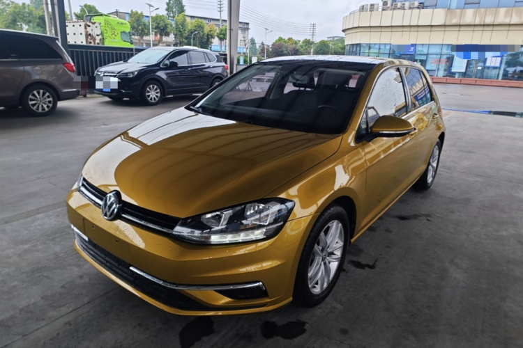 Volkswagen Golf 2019 car image #2