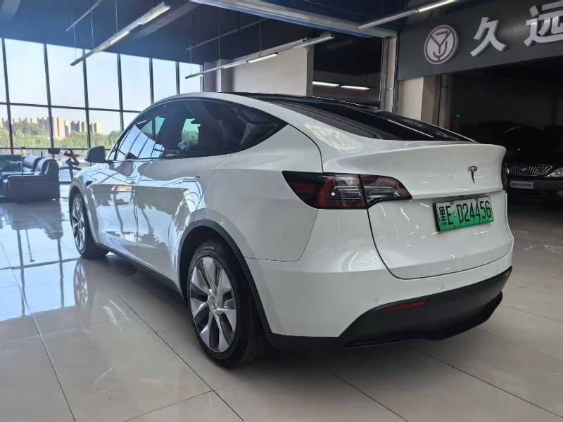 Tesla Model Y 2021 car image #6