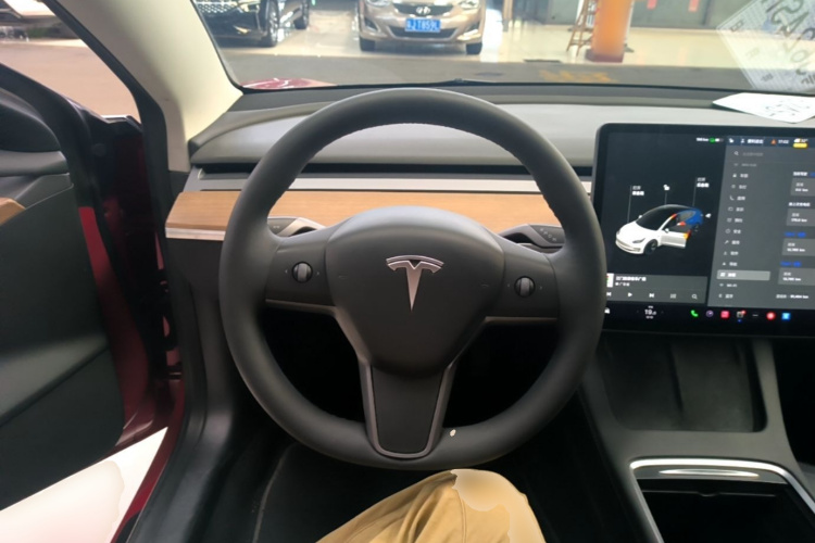 Tesla Model 3 2021 #15 Tesla Model 3 2021 car image #15