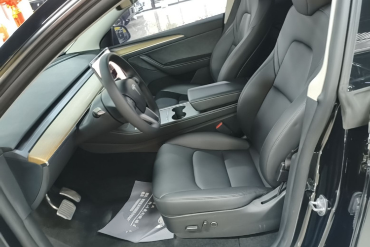 Tesla Model Y 2022 car image #15