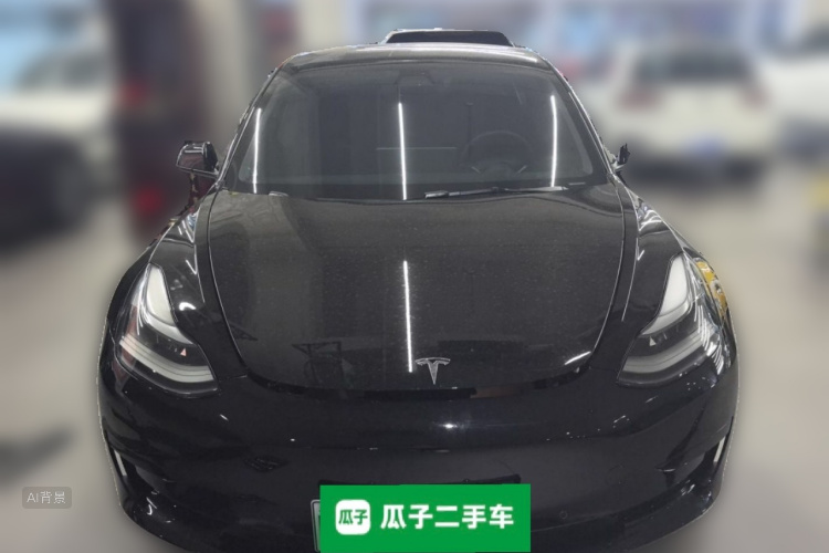 Tesla Model 3 2021 #3 Tesla Model 3 2021 car image #3