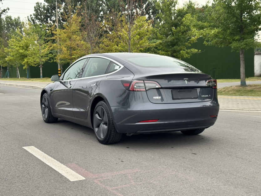 Tesla Model 3 2020 car image #6