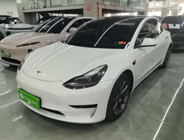 Tesla Model 3 2022 Tesla Model 3 2022 car image
