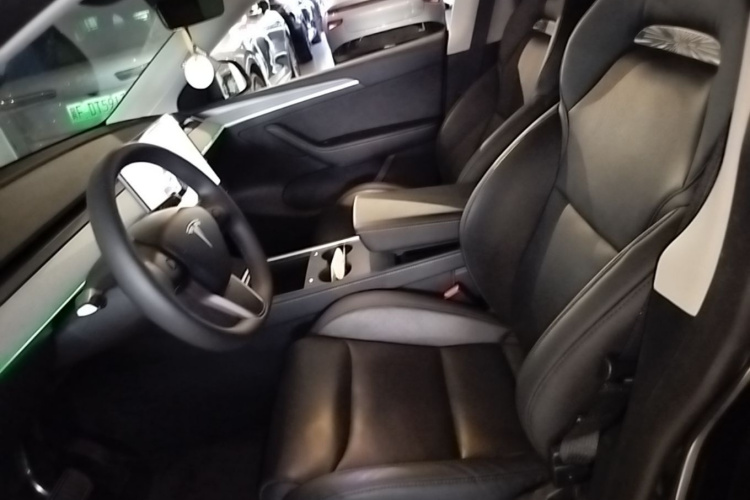 Tesla Model Y 2024 car image #15