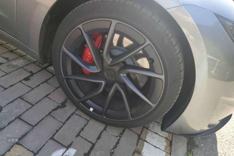 Tesla Model 3 2025 car image #9